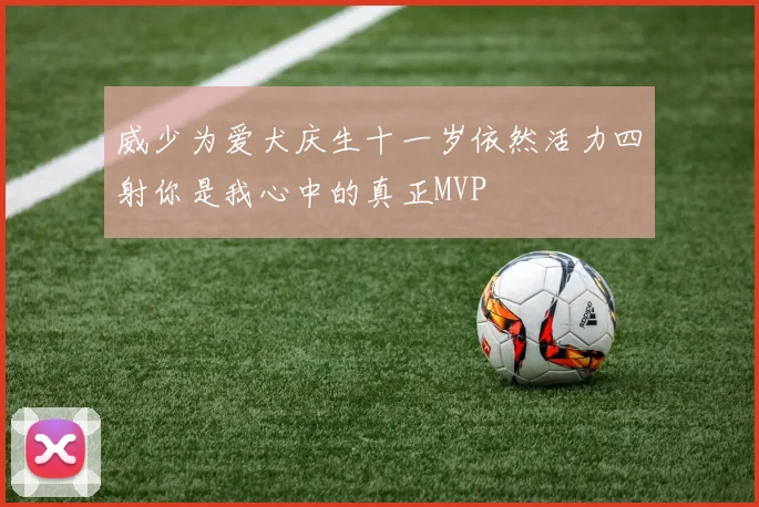 威少为爱犬庆生十一岁依然活力四射你是我心中的真正MVP
