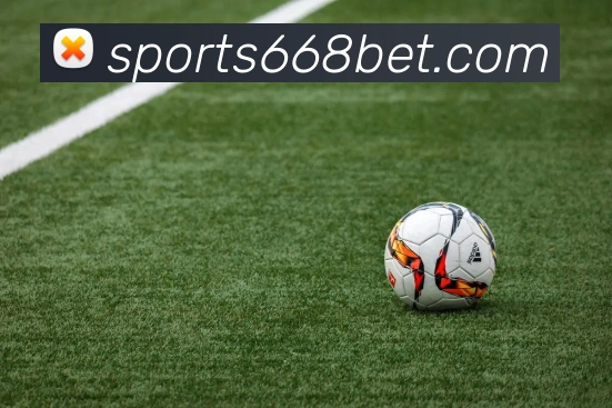 668体育平台生态图