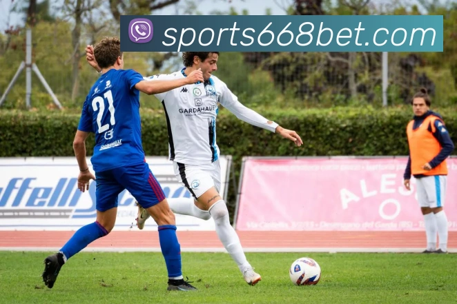 668体育APP 封面图